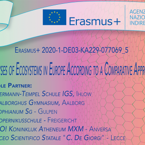 Erasmus+, in partenza per Laeso (Danimarca)